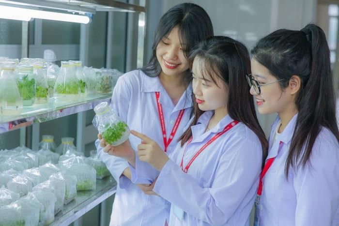 Sư phạm Ngữ văn là lựa chọn quen thuộc của nhiều thí sinh yêu thích văn học và nghề giáo. Ảnh minh họa