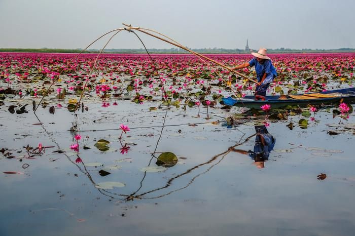 Đồng Tháp mang đến trải nghiệm khó quên cho du khách.