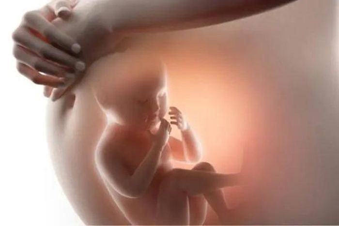 Sàng lọc trước sinh đóng vai trò quyết định trong việc phát hiện sớm các dị tật thai nhi bẩm sinh, giúp can thiệp kịp thời và nâng cao chất lượng dân số. Ảnh minh họa