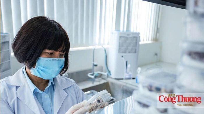 Công tác phân tích mẫu tại Trung tâm giám định ADN - Viện Sinh học, Viện Hàn lâm Khoa học và Công nghệ Việt Nam