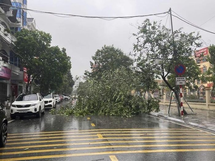 Khu vực Móng Cái, tỉnh Quảng Ninh ảnh hưởng cơn bão số 1, chiều 4/7. Ảnh: QN