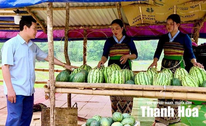 Dưa hấu nơi vùng biên Quang Chiểu được bà con giới thiệu, bày bán dọc Quốc lộ 15C qua địa bàn.