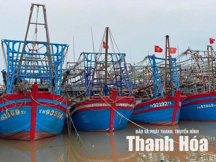 Tàu thuyền của ngư dân được neo đậu an toàn, phòng tránh bão. Ảnh: Lê Hợi