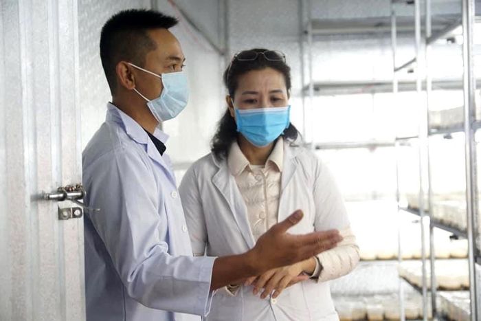 Anh Nguyễn Thành Luận trình bày các công đoạn sản xuất nấm đông trùng hạ thảo. Ảnh: NVCC