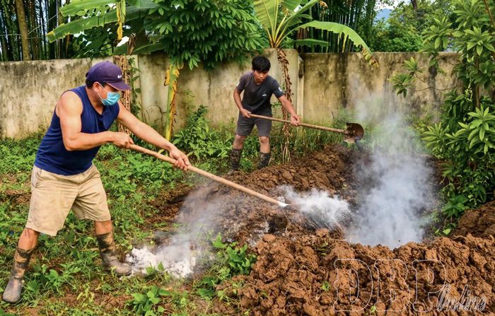Người dân xã Thanh Yên tiêu hủy lợn bệnh. Ảnh: Bùi Quang