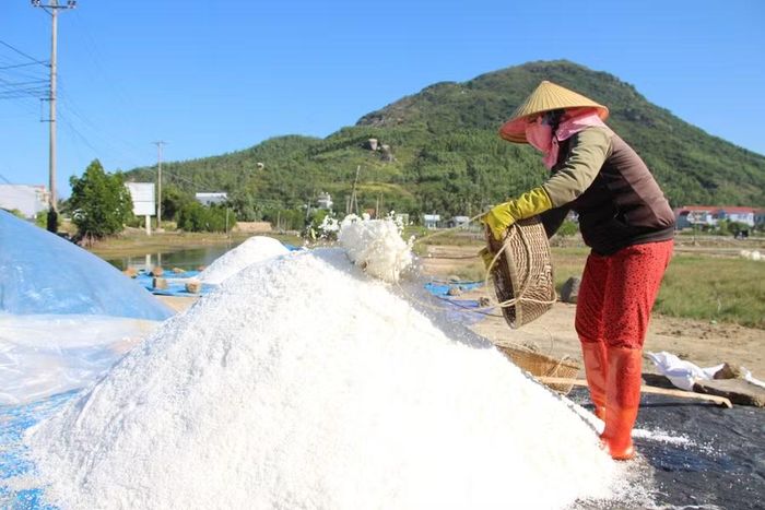 Diêm dân xã Đề Gi thu hoạch muối. Ảnh: Trọng Lợi