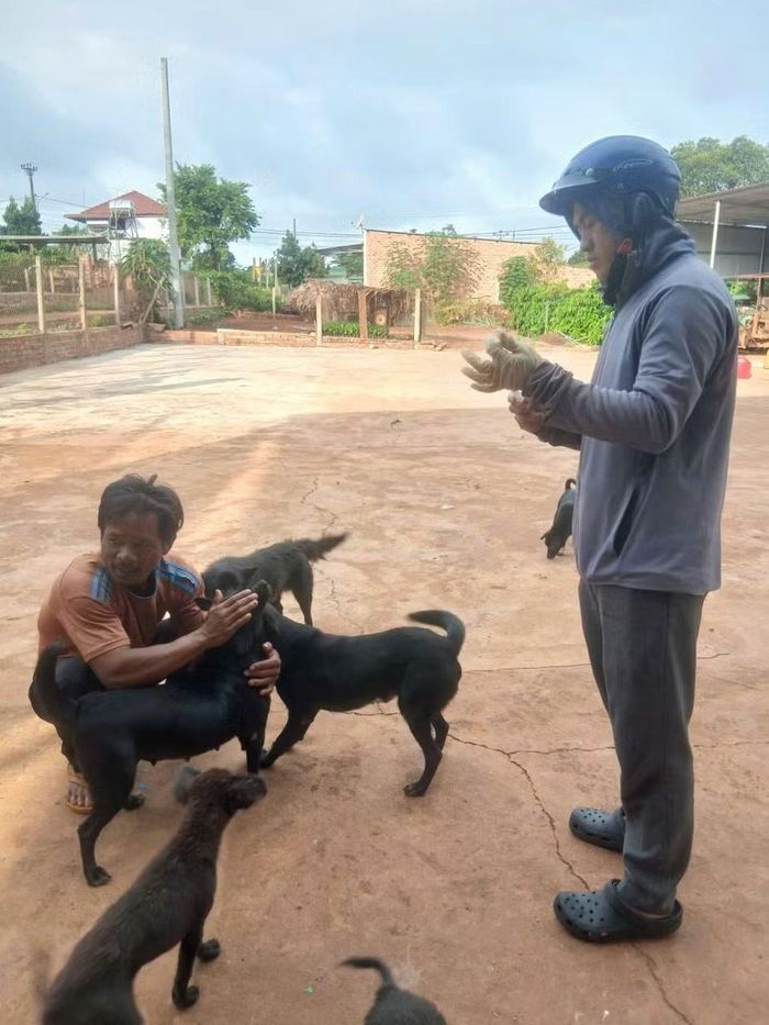 Cán bộ thú y Trung tâm Dịch vụ sự nghiệp công xã Mang Yang phối hợp cùng hộ dân tiêm phòng vắc xin bệnh dại trên đàn chó thôn 2 Tân Bình. Ảnh: T.N 
