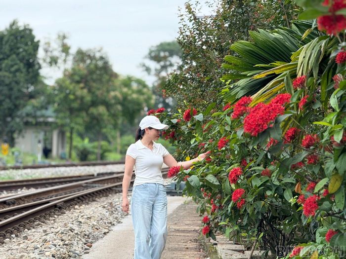 Người dân thích thú ngắm nhìn những tuyến đường hoa dọc đường sắt.