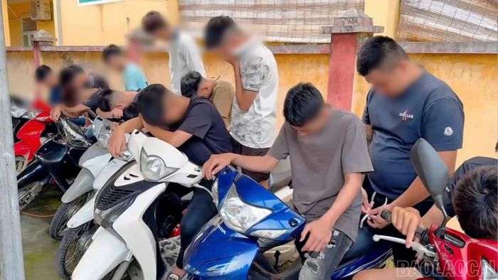Các đối tượng cùng phương tiện.