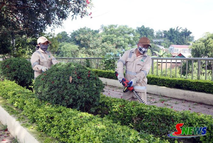 Công nhân Công ty cổ phần Môi trường và dịch vụ đô thị Sơn La - Chi nhánh Sốp Cộp sử dụng máy cắt tỉa cây xanh.