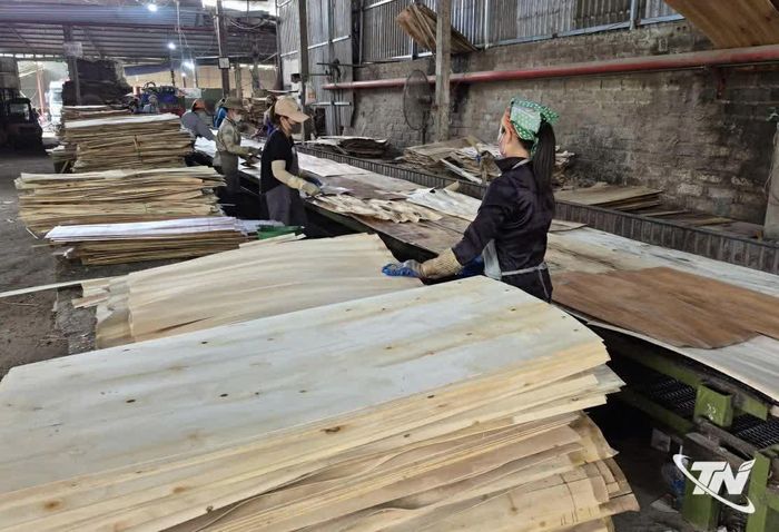Hợp tác xã Dịch vụ Vận tải Chuyên Đức (xã Trung Hội) tạo nhiều việc làm cho người lao động nhờ nguồn vốn vay từ ngân hàng.