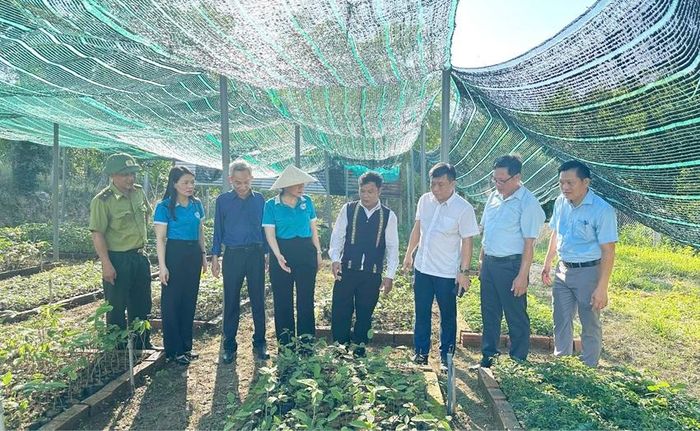  Các đơn vị thăm vườn ươm cây giống tại bản Phúc Lộc