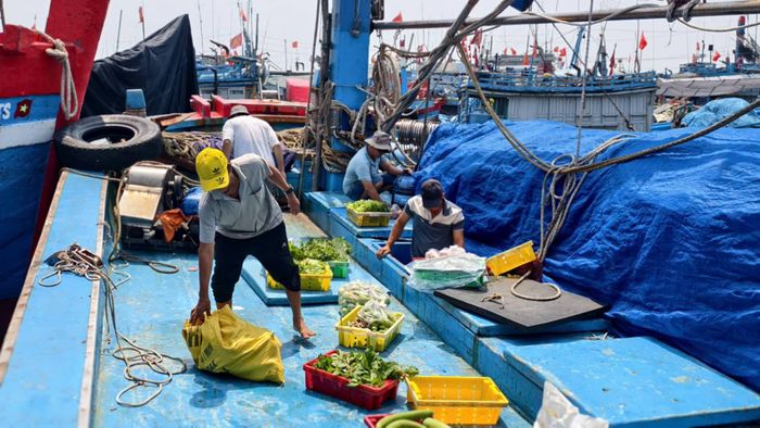 Chuẩn bị thực phẩm cho chuyến biển dài ngày.