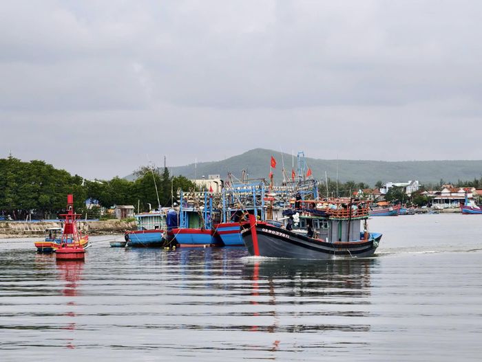 Tàu cá rời cảng Sa Kỳ.