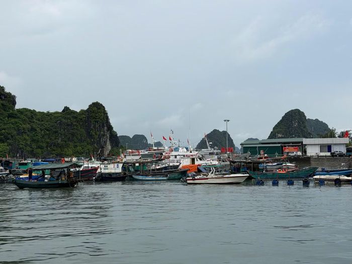 Một góc cảng Cái Rồng, Đặc khu Vân Đồn, Quảng Ninh.