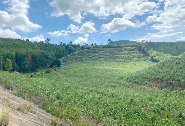 Trước khi chuyển giao 2.018,5ha đất rừng cho hai xã Sơn Hội, Phước Tân, huyện Sơn Hòa, tỉnh Phú Yên trước đây, BQL RPH Sơn Hòa đã để cho người dân chiếm dụng trái phép hàng trăm hecta biến thành nương rẫy.
