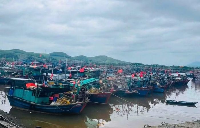 Phương tiện của ngư dân khu vực xã Đầm Hà (Quảng Ninh) được neo đậu ở nơi an toàn.