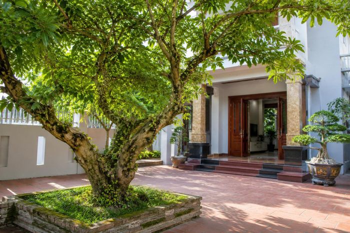 Vị trí tốt nhất là bạn nên trồng ở hai bên cạnh nhà, vừa đẹp vừa tốt cho phong thủy lại không cản trở luồng khí tốt đi vào nhà. Ảnh minh họa.
