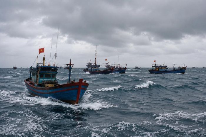  Các phương tiện hoạt động trên biển được khuyến cáo vào nơi tránh trú an toàn khi bão số 1 tiến gần đất liền. Ảnh minh họa. 