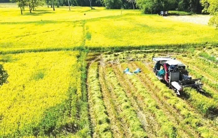 Lâm Đồng đẩy mạnh phát triển nông nghiệp công nghệ cao, chuyển đổi số và nâng cao hiệu quả quản lý tài nguyên, môi trường nhằm thực hiện mục tiêu tăng trưởng bền vững trong năm 2026