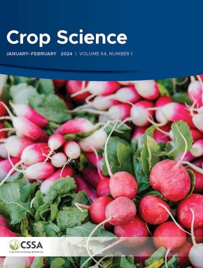 ết quả nghiên cứu được công bố trên tạp chí Crop Science, cho thấy một số giống ngô sở hữu các tế bào mạch dẫn nước dài hơn, giúp cây vận chuyển nước hiệu quả