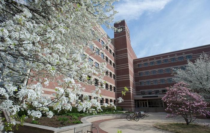Một nhóm nghiên cứu do Đại học Bang Pennsylvania dẫn đầu đã phát hiện một đặc tính sinh học mới ở cây ngô có thể trở thành nền tảng cho việc phát triển các giống chịu hạn tốt hơn