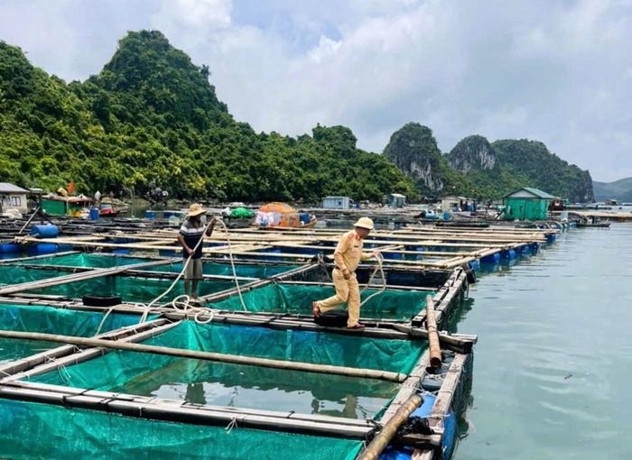Lực lượng chức năng kêu gọi ngư dân vào bờ tránh trú bão số 1. Ảnh: CTV