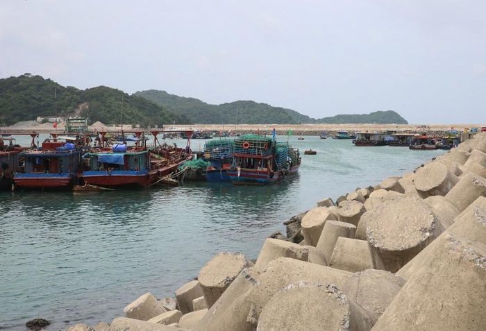 Tàu thuyền neo đậu ven biển tại Quảng Ninh. Ảnh: CTV
