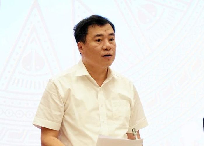 Thứ trưởng Bộ Công Thương Nguyễn Sinh Nhật Tân. Ảnh: Linh Vũ