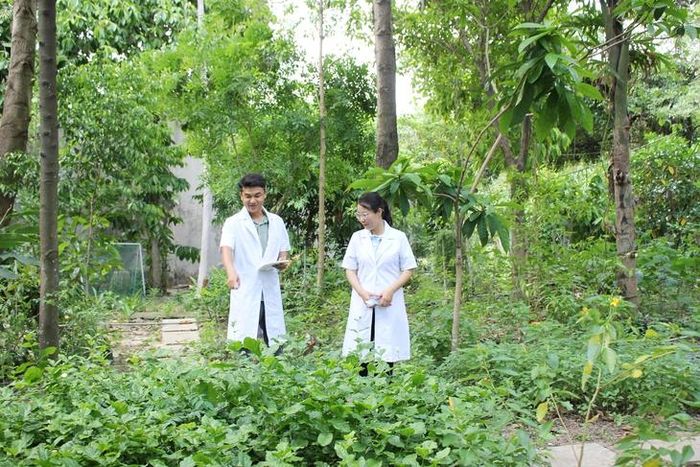 Nghiên cứu viên Nguyễn Minh Hùng và ThS. Ngô Thị Minh Huyền, cùng một số đồng nghiệp đang trực tiếp quản lý, vận hành Vườn Bảo tồn gen và giống cây thuốc khu vực Nam bộ.