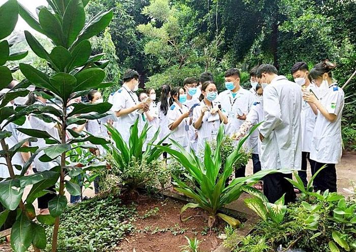 Ở TPHCM, Vườn Bảo tồn gen và giống cây thuốc khu vực Nam bộ thu hút sinh viên ngành dược, y học cổ truyền, sinh học và thực vật học.