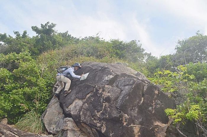 Phía sau mỗi mẫu cây được đưa về vườn là những chuyến khảo sát kéo dài nhiều ngày tại các khu rừng, vùng núi, hoặc những khu vực còn lưu giữ hệ thực vật bản địa.