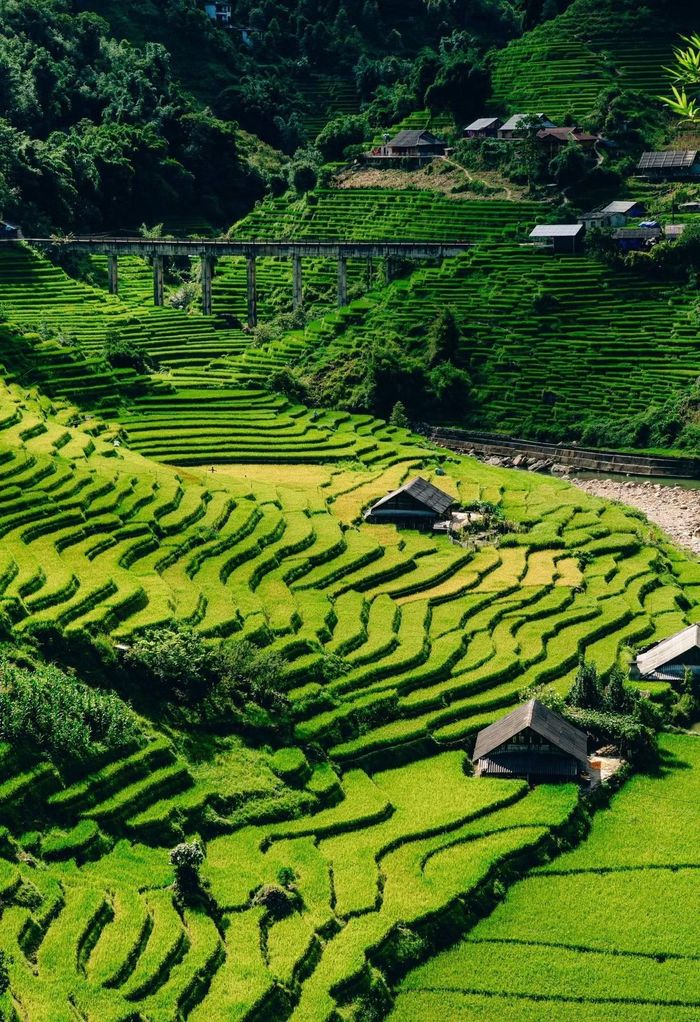 Ảnh: Duy Mạnh.