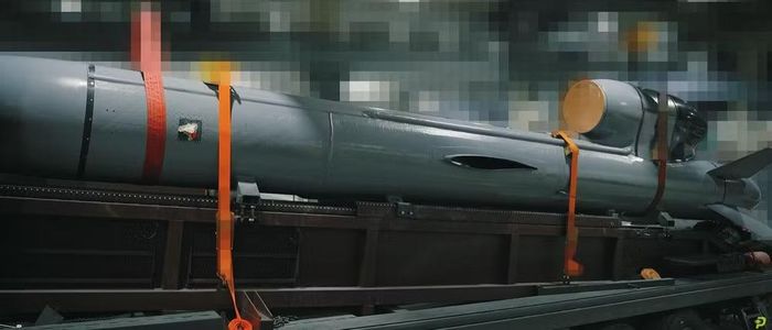 Thông tin này được tờ báo Futura đăng tải, các phóng viên của ấn phẩm này đã có cơ hội tiếp xúc với tên lửa hành trình Flamingo của Ukraine bên lề triển lãm quốc phòng châu Âu Eurosatory.