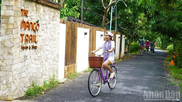 Du khách đạp xe trải nghiệm
