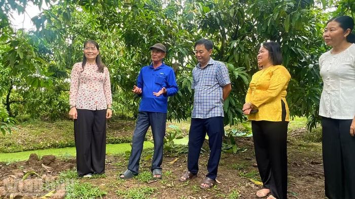 Bí thư Đảng ủy xã Mỹ Thọ Phạm Thị Ngọc Đào (bìa trái) và Chủ tịch Ủy ban nhân dân xã Mỹ Thọ Nguyễn Minh Tuấn gặp gỡ trao đổi với nông dân Trần Phú Hậu.