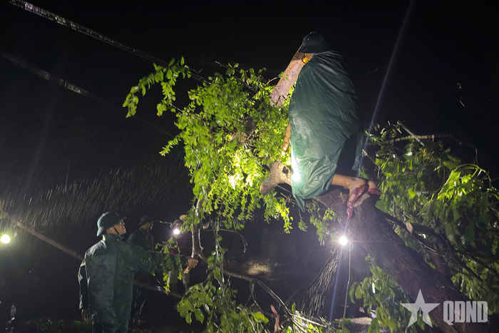  Lực lượng vũ trang xã Quảng Đức giúp nhân dân khắc phục hậu quả cây gãy đổ sau bão.