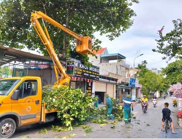  Lực lượng chức năng tại phường Liên Hòa (tỉnh Quảng Ninh) dọn dẹp cây xanh đổ sau bão số 1, sáng 5-7. Ảnh: THÀNH CÔNG 