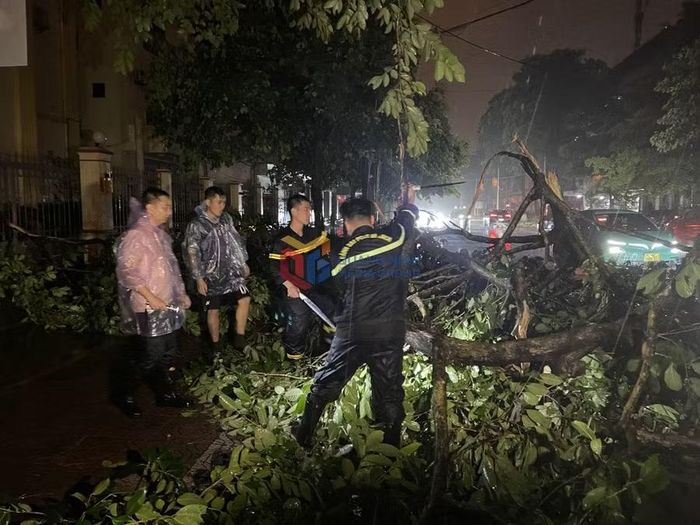 Lực lượng chức năng phường Móng Cái 1 cắt tỉa cây xanh bị gãy đổ.