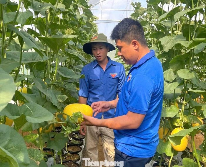 Anh Hiếu (trái) chia sẻ về mô hình dưa lưới.
