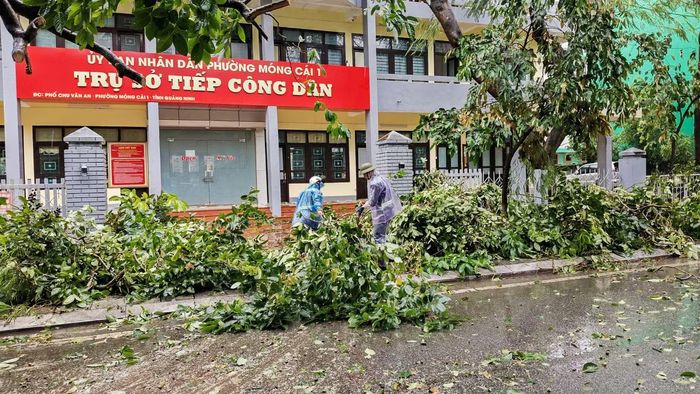 Thông tin từ phường Móng Cái 1, toàn phường có khoảng 600ha diện tích nuôi trồng thủy sản tại các khu Hải Hòa 1, Hải Hòa 2 và Hải Hòa 6 bị ngập, ảnh hưởng nghiêm trọng đến hoạt động sản xuất của người dân, đặc biệt là các đầm nuôi tôm đang chuẩn bị thu hoạch.