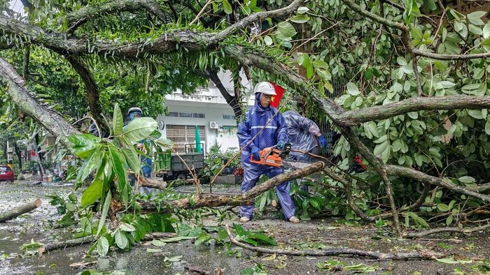 Tranh thủ bão tan, chính quyền cùng người dân và lực lượng chức năng tổ chức cưa cây đổ gãy, thu dọn sau bão để nhanh chóng cấp điện phục vụ Nhân dân.