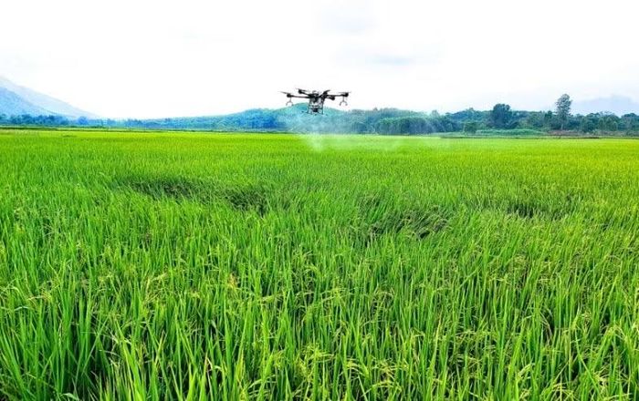  Ứng dụng công nghệ trong phát triển nông nghiệp xanh. 