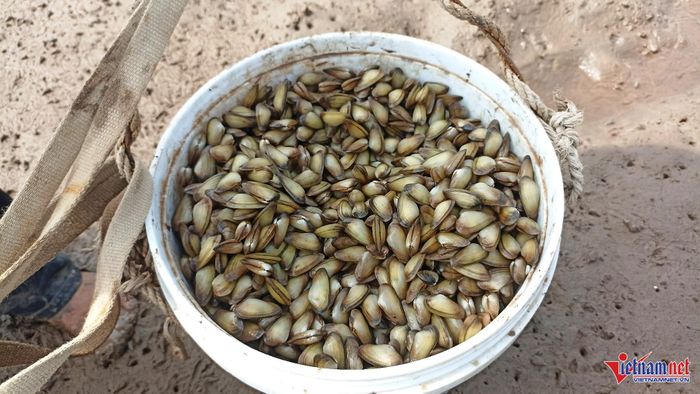 Con don mang về thu nhập hơn 300.000 đồng/người/ngày.