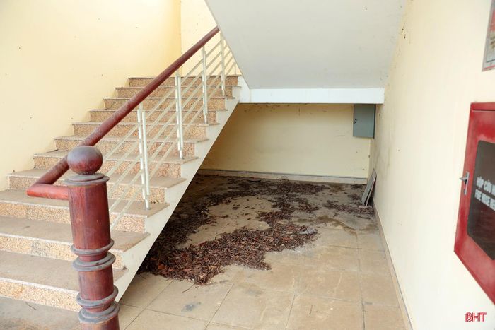 Qua nhiều năm chưa đưa vào sử dụng, bên trong khuôn viên Dự án Trụ sở làm việc Trạm kiểm dịch động vật nội địa tại phường Nam Hồng Lĩnh, cây cỏ dại mọc khá nhiều, bụi bẩn bám đầy các hạng mục công trình. Trước thực tế này, UBND tỉnh Hà Tĩnh đã yêu cầu các sở, ban, ngành liên quan cùng vào cuộc, tìm phương án tháo gỡ để đưa công trình vào khai thác.