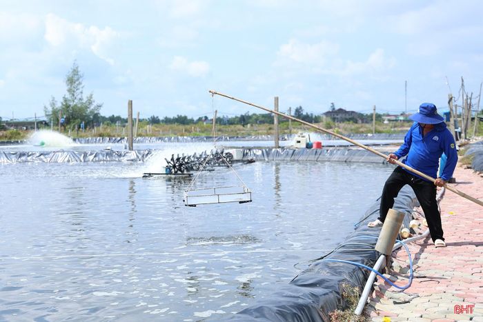Ông Bùi Quang Liện (thôn Thanh Long, xã Thạch Khê) lựa chọn thả nuôi gối vụ, giảm quy mô.