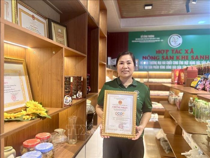 Sản phẩm cà phê Khe Sanh 100% Arabica của Hợp tác xã Nông sản Khe Sanh được công nhận sản phẩm OCOP 5 sao cấp quốc gia, góp phần nâng tầm và khẳng định thương hiệu cà phê Khe Sanh. Ảnh: Nguyên Linh/TTXVN