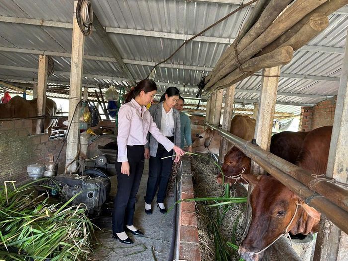 Cán bộ tín dụng NHCSXH tỉnh Gia Lai tận tình hướng dẫn người dân sử dụng vốn ưu đãi để phát triển sản xuất, kinh doanh.