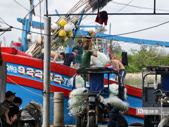 Tàu cá cập cảng Sa Kỳ.