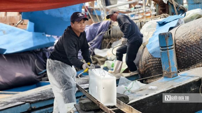 Ngư dân chuyển đá lạnh lên tàu.